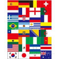 International Flag Face Sticker